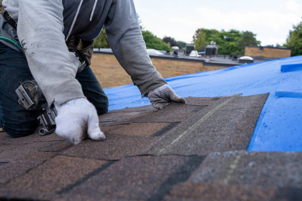 Best Roof Gutter Cleaning  in Larch Y, WA