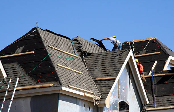 Best Shingle Roofing Installation  in Larch Y, WA