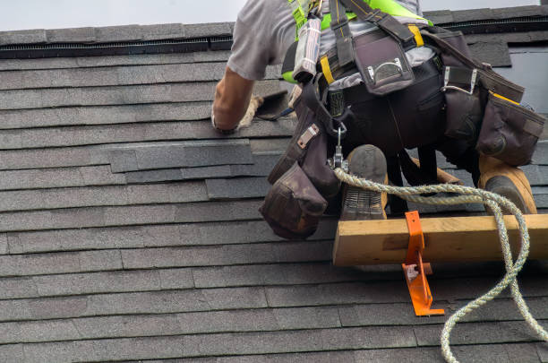 Roof Gutter Cleaning in Larch Way, WA