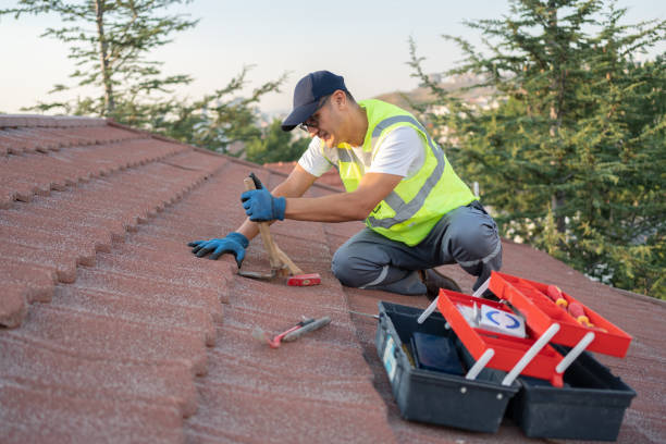 Best Sealant for Roof  in Larch Y, WA